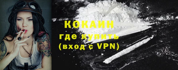 твердый Аркадак