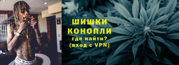 твердый Аркадак