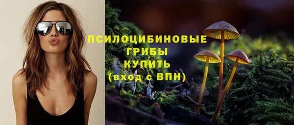 твердый Аркадак