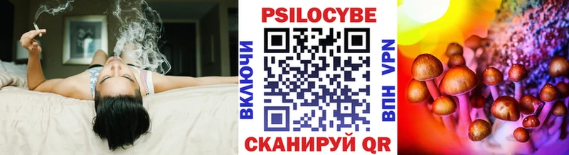 где купить наркоту  Фролово  площадка какой сайт  Псилоцибиновые грибы Cubensis 