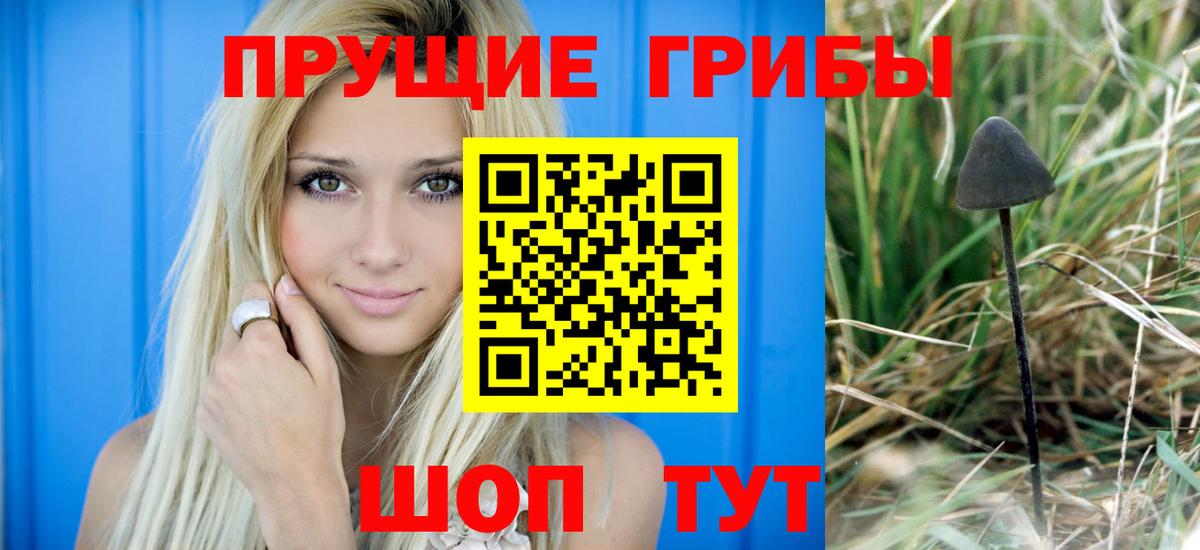 Фролово  купить наркотики цена  Вход с VPN  Галлюциногенные грибы Psilocybe 