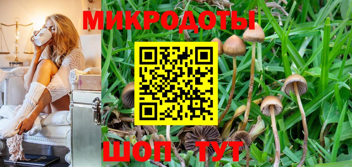 Галлюциногенные грибы GOLDEN TEACHER Фролово
