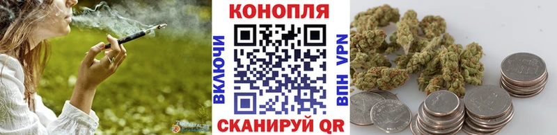Шишки марихуана марихуана  купить наркотики цена  Фролово 